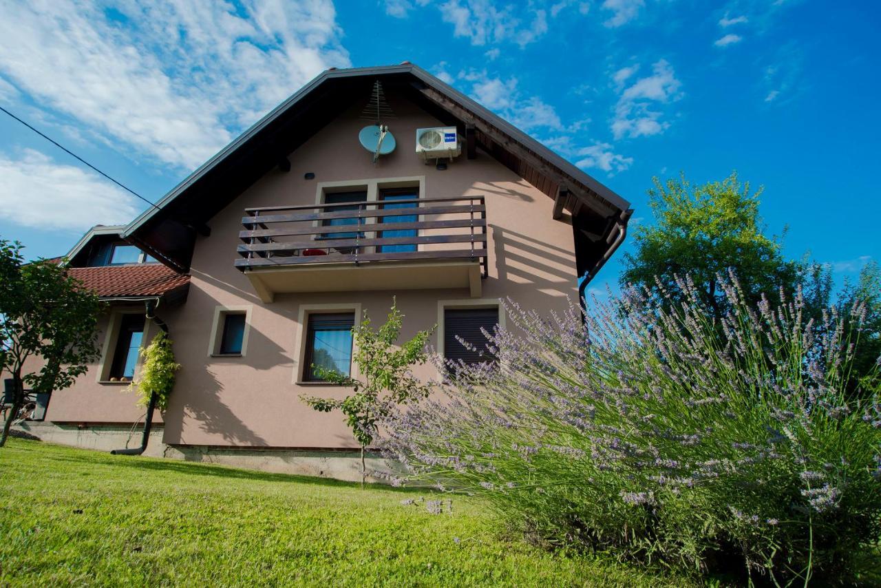 Studio Apartment Karlo Drežnik Grad Εξωτερικό φωτογραφία