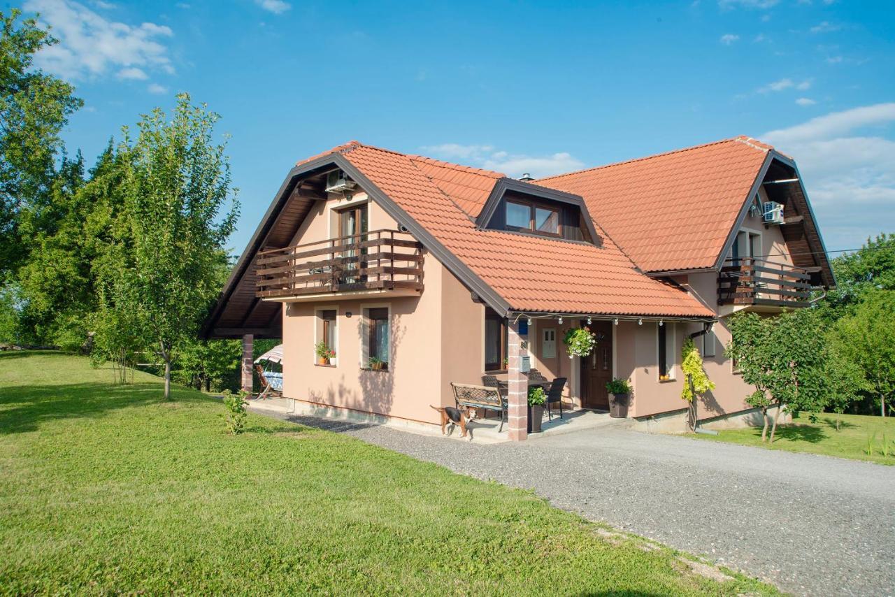 Studio Apartment Karlo Drežnik Grad Εξωτερικό φωτογραφία