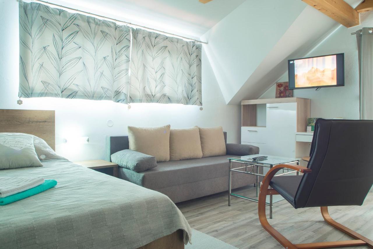 Studio Apartment Karlo Drežnik Grad Εξωτερικό φωτογραφία