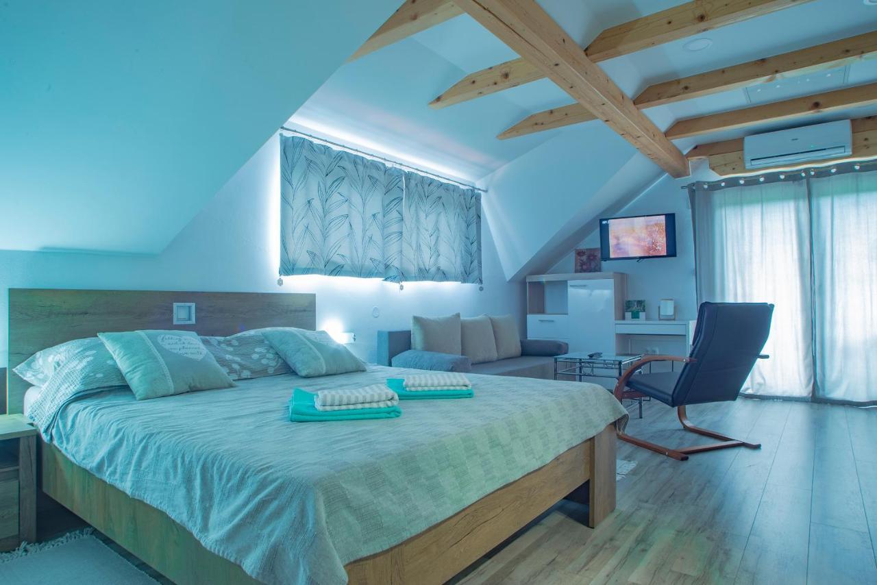 Studio Apartment Karlo Drežnik Grad Εξωτερικό φωτογραφία