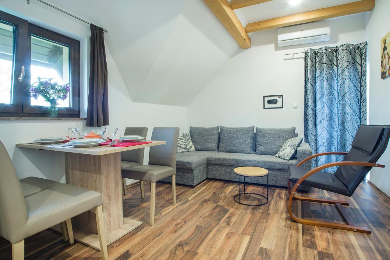 Studio Apartment Karlo Drežnik Grad Εξωτερικό φωτογραφία