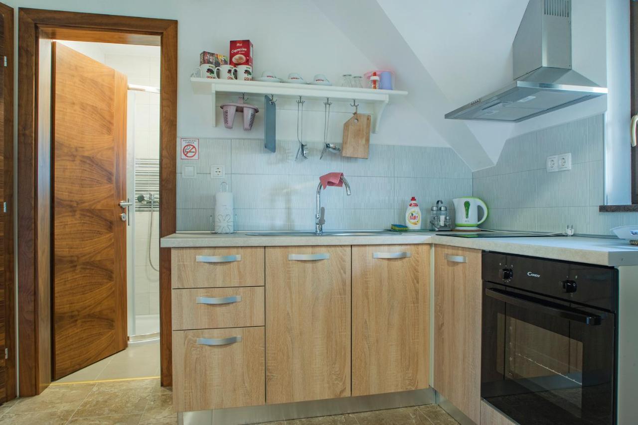 Studio Apartment Karlo Drežnik Grad Εξωτερικό φωτογραφία