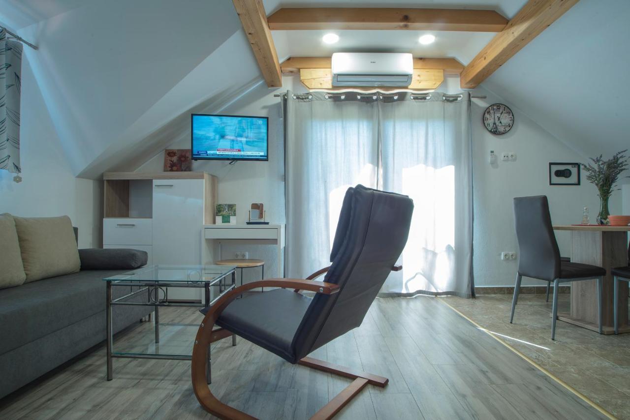 Studio Apartment Karlo Drežnik Grad Εξωτερικό φωτογραφία