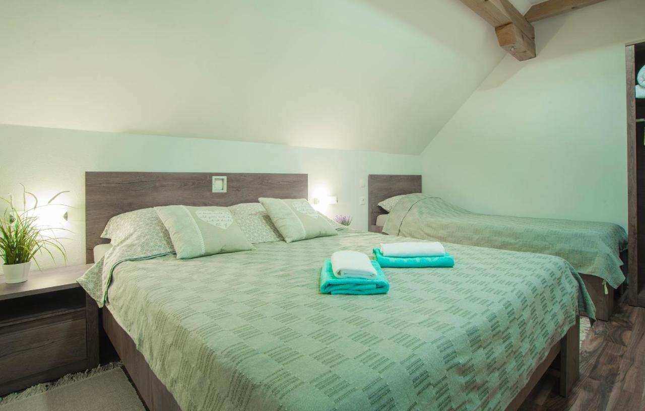 Studio Apartment Karlo Drežnik Grad Εξωτερικό φωτογραφία
