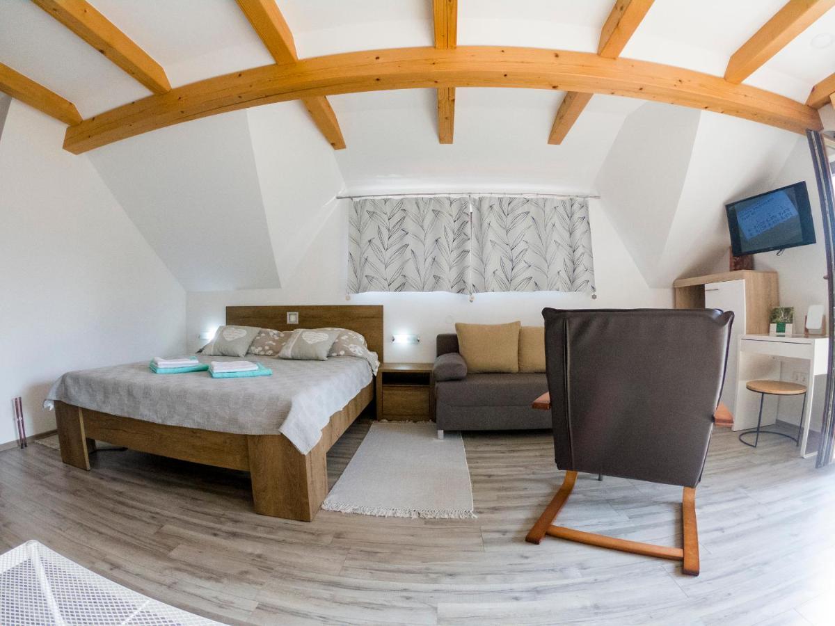 Studio Apartment Karlo Drežnik Grad Εξωτερικό φωτογραφία