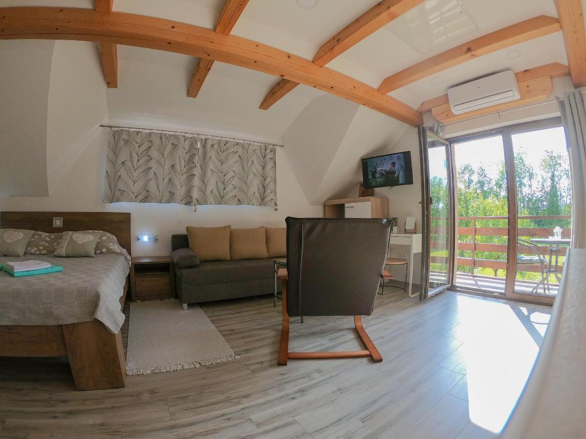 Studio Apartment Karlo Drežnik Grad Εξωτερικό φωτογραφία