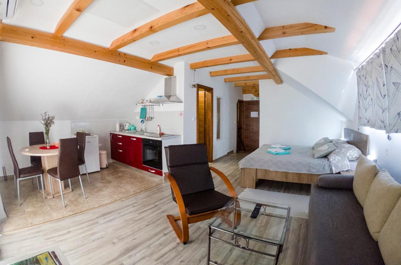 Studio Apartment Karlo Drežnik Grad Εξωτερικό φωτογραφία