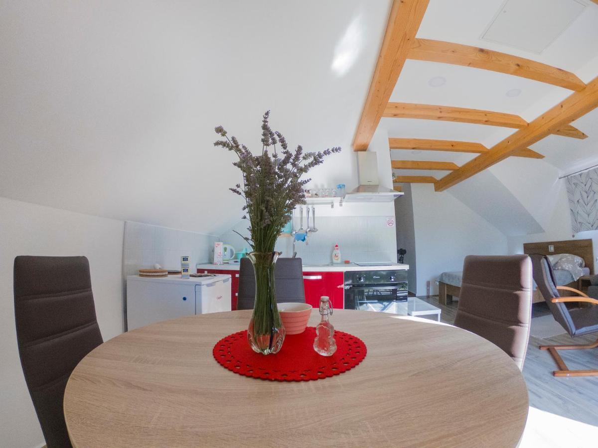 Studio Apartment Karlo Drežnik Grad Εξωτερικό φωτογραφία