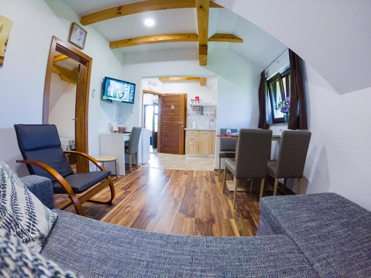 Studio Apartment Karlo Drežnik Grad Εξωτερικό φωτογραφία