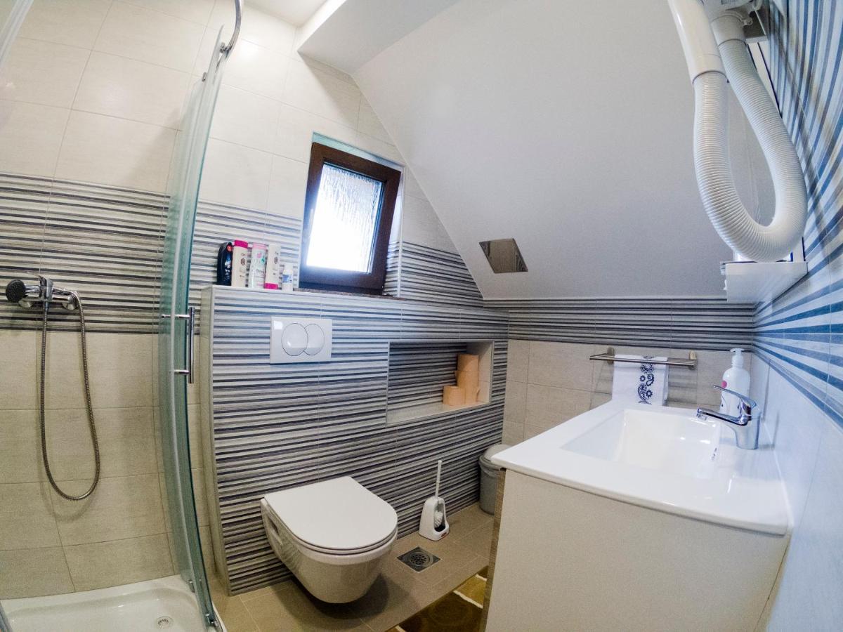 Studio Apartment Karlo Drežnik Grad Εξωτερικό φωτογραφία