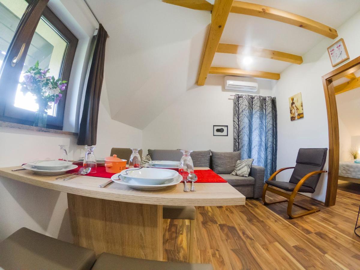 Studio Apartment Karlo Drežnik Grad Εξωτερικό φωτογραφία